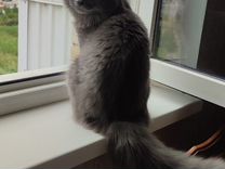 30 06 2016. Медицинские заключения форма 002-о/у и форма 003-о/у. Повестка в военкомат на медицинское освидетельствование образец. Двойка в дневнике. 30 06 2016.