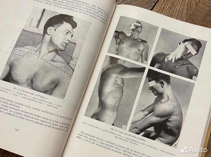 Анатомия для художников чехия