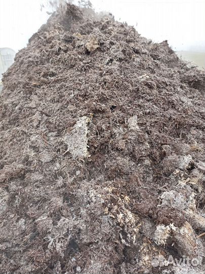 Грибной компост удобрение