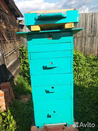 Продам ульи для пчел
