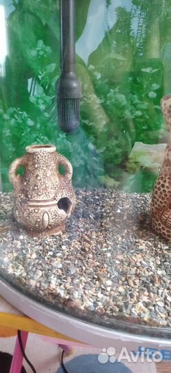 Аквариум Jebo