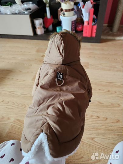 Куртка для собак мелких пород, кошек, новая