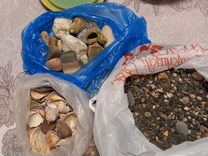 Морские ракушки, камушки, морской песок
