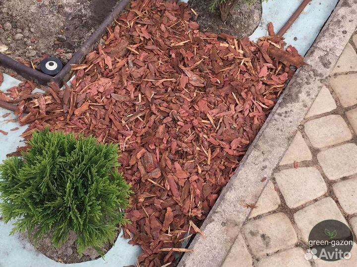 Сосновая мульча