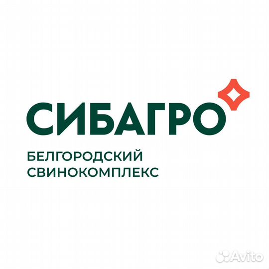 Водитель автомобиля категории се