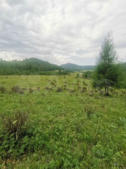 Участок 15 га (СНТ, ДНП)