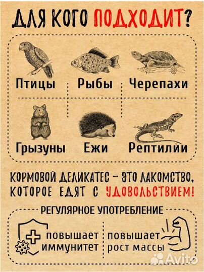 Кормовой деликатес,Сушеные насекомые 1000мл