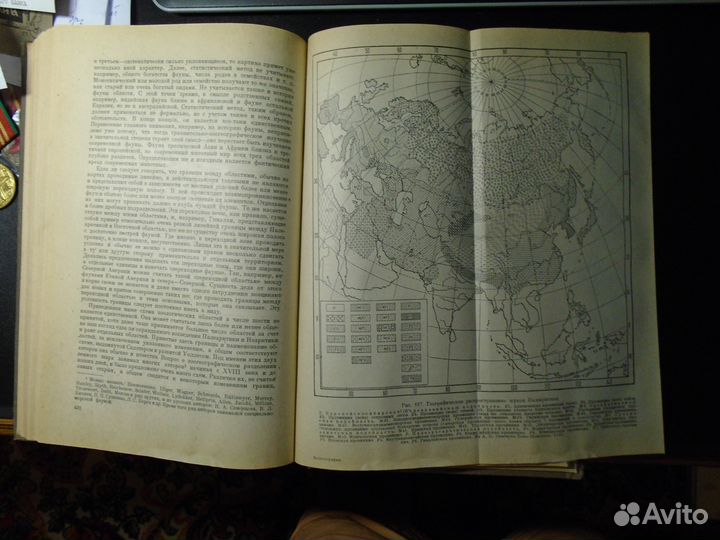 Гептнер В. Г. Общая зоогеография (1936)