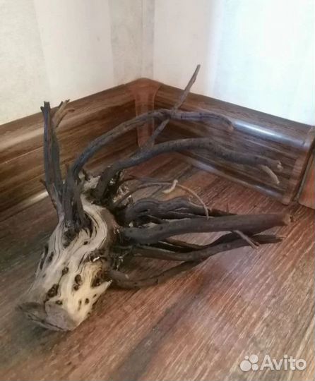 Виноград, домики 2