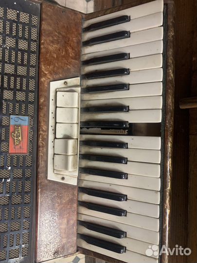 Аккордеон Теза