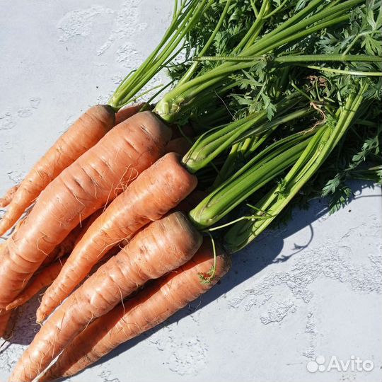 Капуста цветная белокочанная на заколки морковь