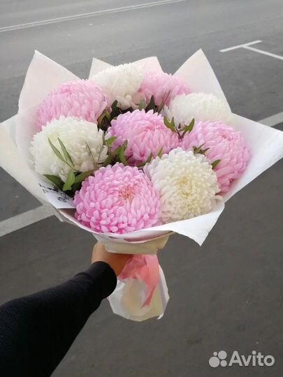 5 хризантем 11 Хризанетм Букет Хризантемы