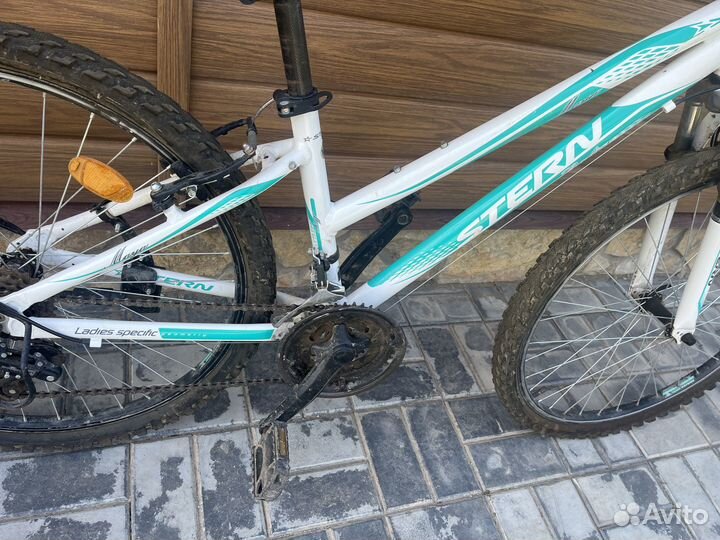 Stern Ladies Specific Geometry