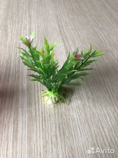 Искусственные водоросли