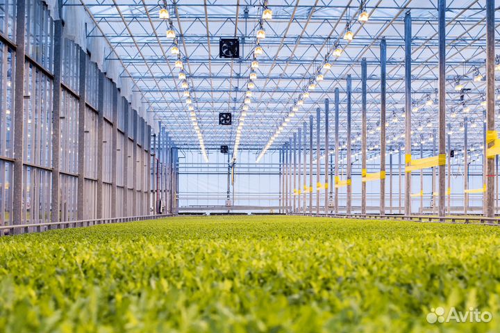 Разнорабочий с проживанием