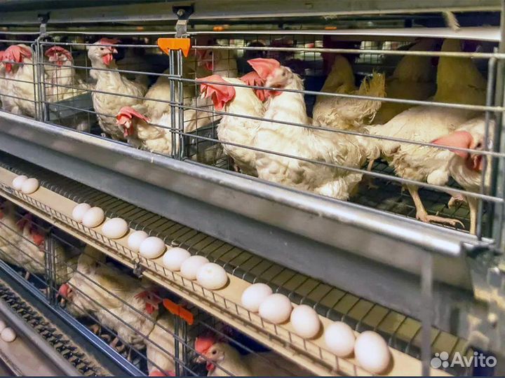 Рабочий на вахту