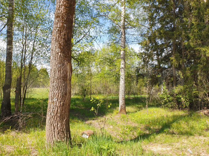 Участок 5,4 га (СНТ, ДНП)