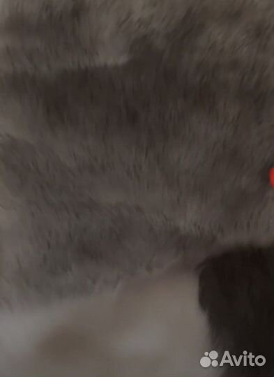 Фурсют основа