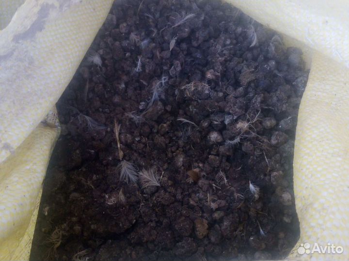 Помёт перепелиный