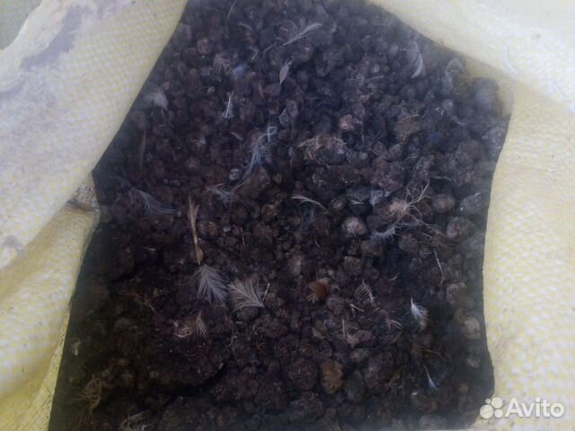 Помёт перепелиный