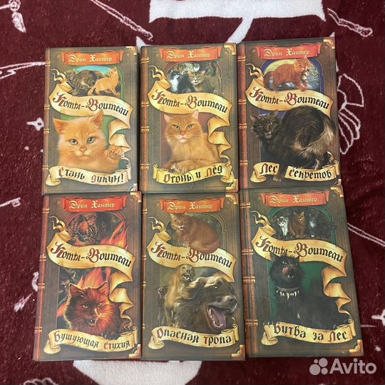 Коты-воители