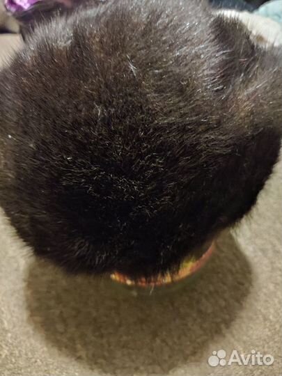 Шапка норковая женская