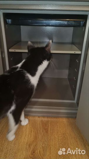 Огнестойкий сейф valberg FRS-51 KL