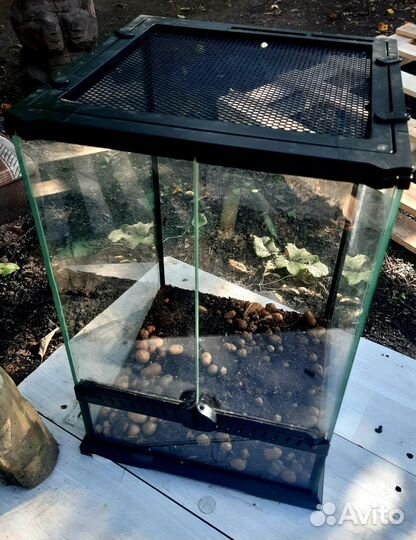 Террариум для рептилий