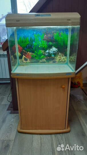 Аквариум джебо