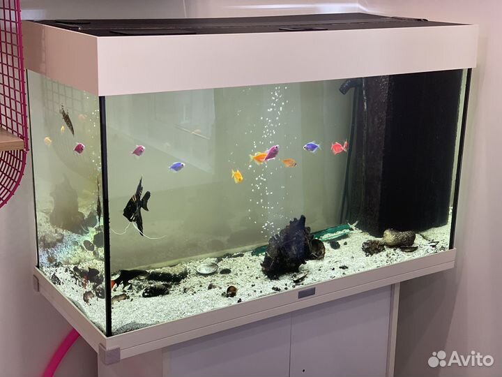 Аквариум juwel rio 125