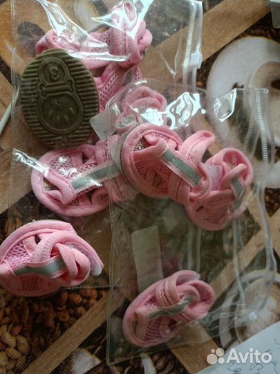 Одежда для собак