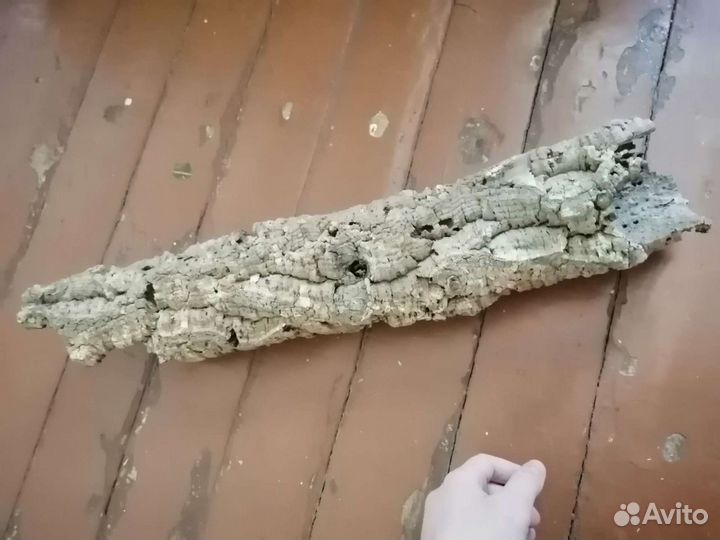 Кора пробкового дерева