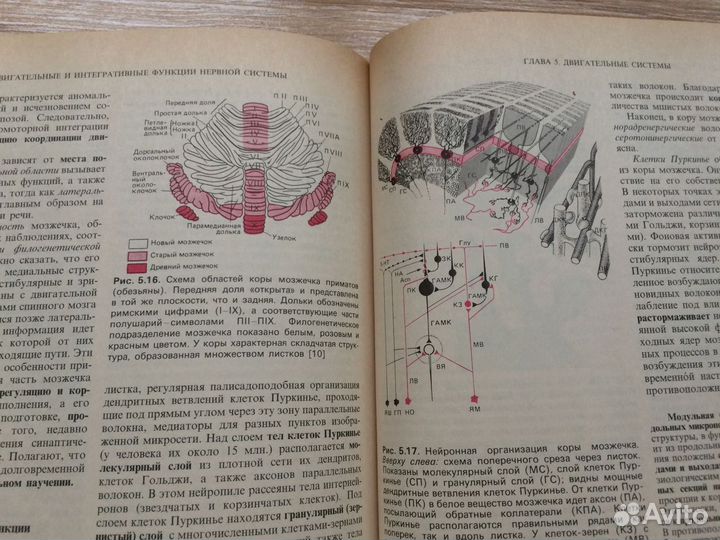 Физиология человека: В 3-х томах Под ред. Шмидта