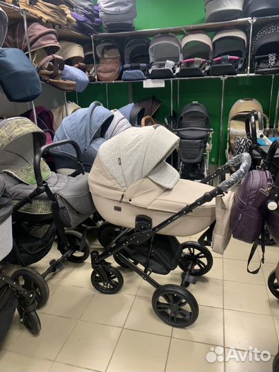 Коляска Anex Cross Ecco premium