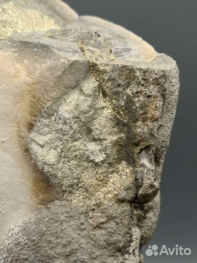 Марказит (спектропирит) в септарии