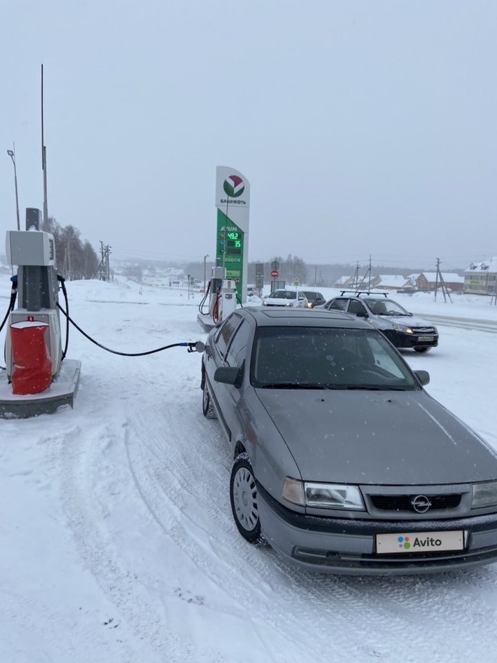 Opel Vectra: фото владельца