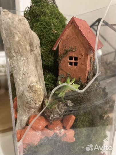 Флорариум с композицией