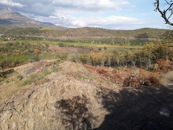 Участок 4 сот. (ИЖС)