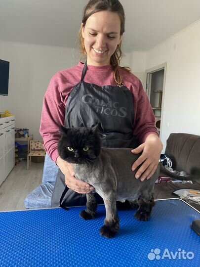 Груминг кошек