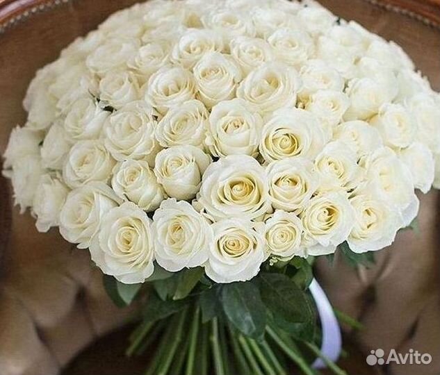 Розы Цветы Букеты 25 151 201 101 301 501 опт