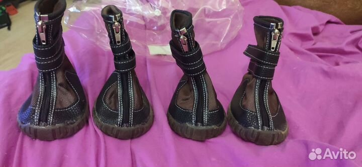 Ботинки для крупной собаки