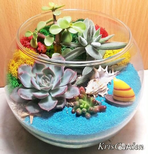 Флорариум подарок