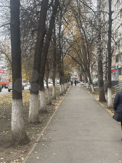 Свободного назначения, 66.4 м²