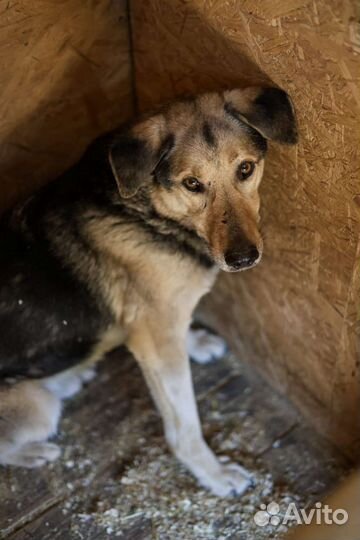 Ларс 10 лет живёт в приюте
