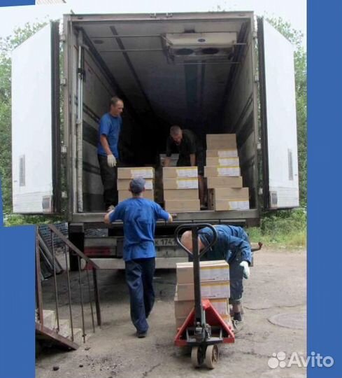 Аккуратные грузчики почасово Приедем быстро