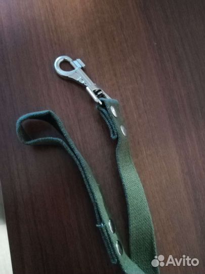 Ошейник для собак