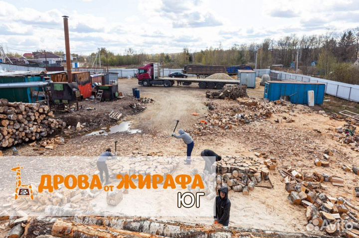 Дрова колотые с доставкой укладка