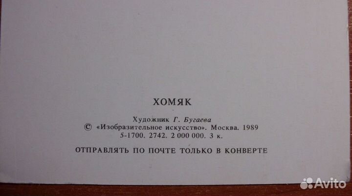 Открытка Хомяк Бугаева 1989 чистая СССР