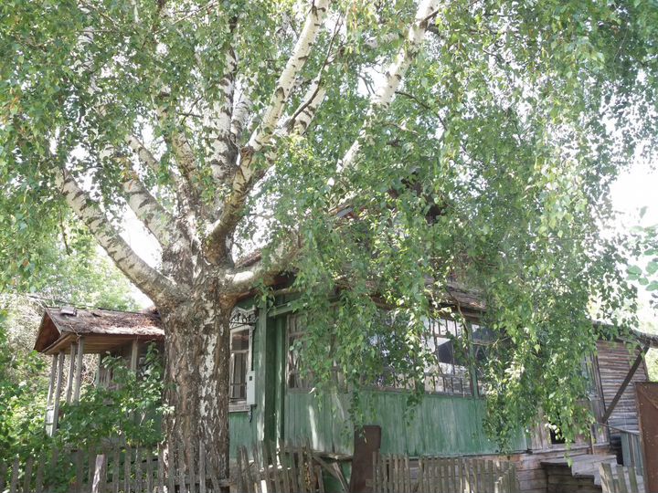 Дом 63,5 м² на участке 50 сот.