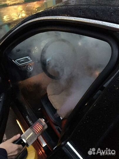 Дезинсекция